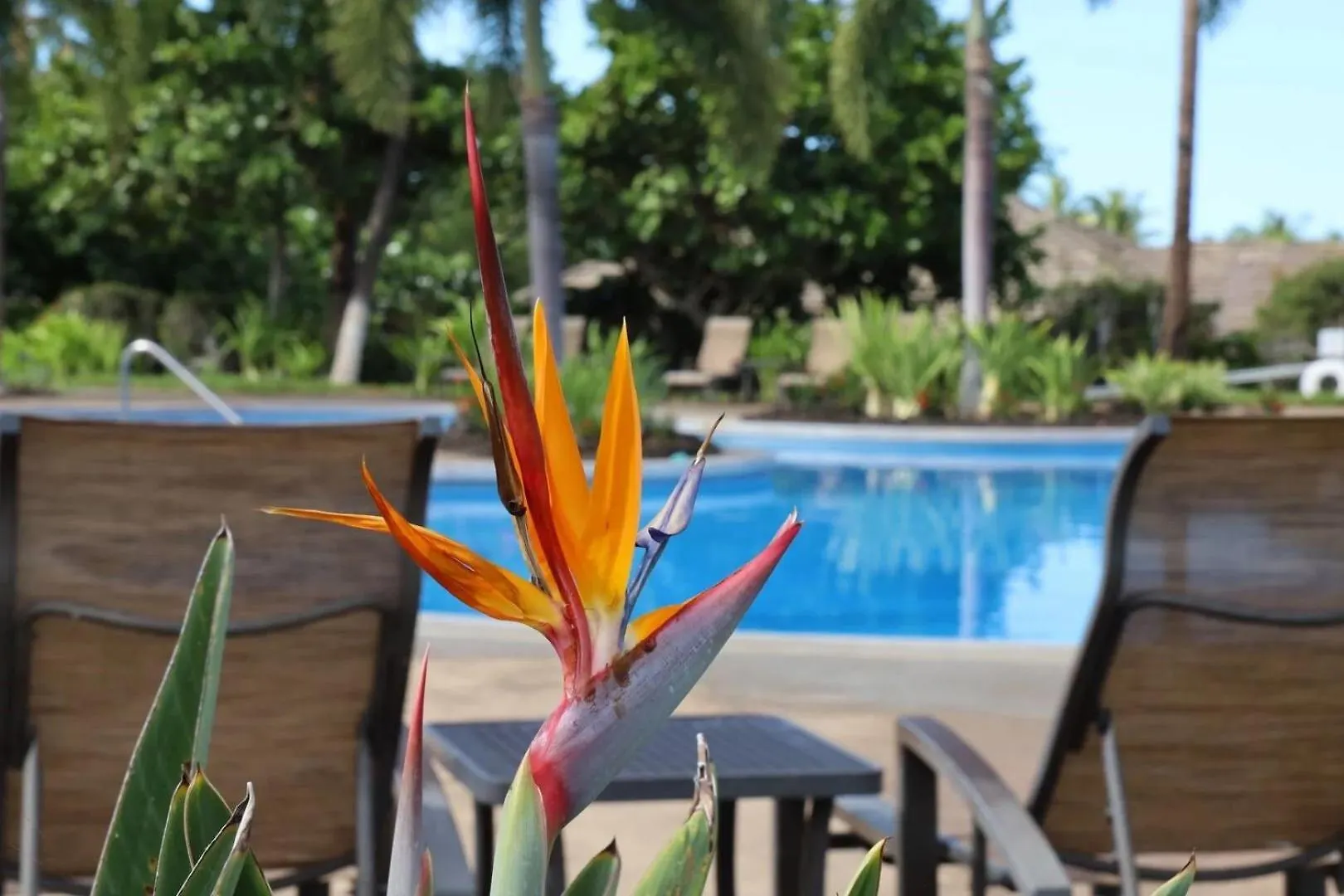 Paradise Garden Hale Upscale 3Br Kamilo Home With Large Yard And Views Waikoloa Σπίτι διακοπών