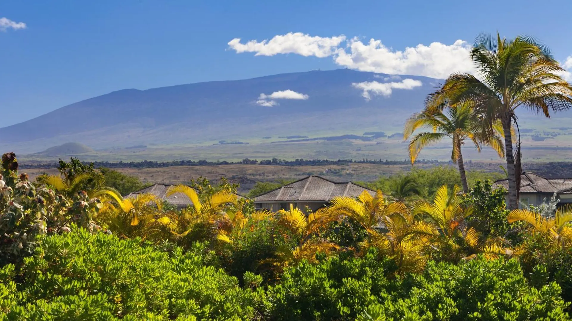 Paradise Garden Hale Upscale 3Br Kamilo Home With Large Yard And Views Waikoloa 0*,