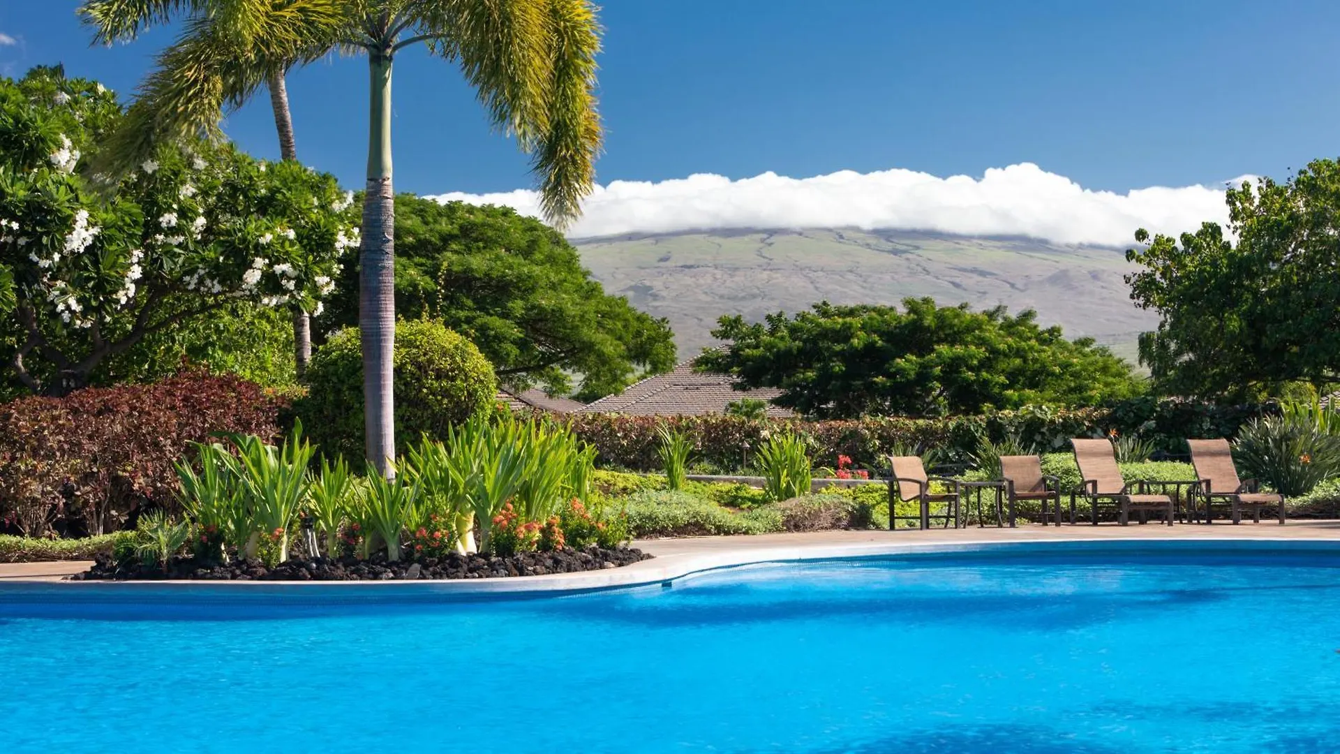 Paradise Garden Hale Upscale 3Br Kamilo Home With Large Yard And Views Waikoloa 0*,
