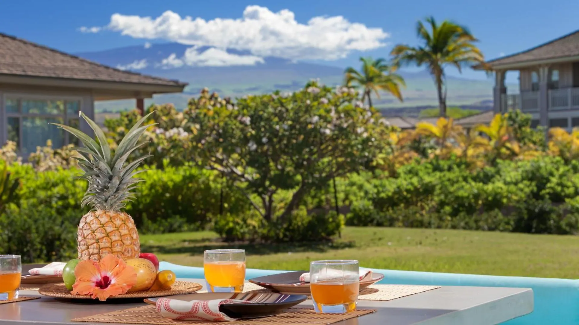 Paradise Garden Hale Upscale 3Br Kamilo Home With Large Yard And Views Waikoloa Ηνωμένες Πολιτείες της Αμερικής